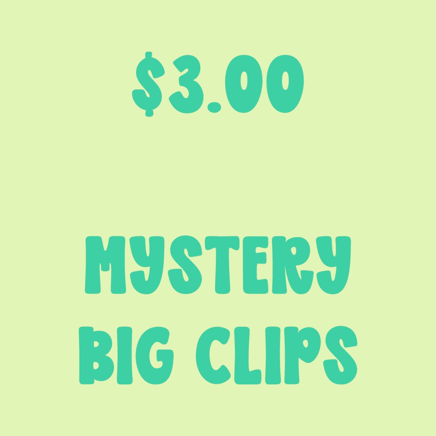 $3.00 MYSTERY BIG CLIPS - FRIYAY