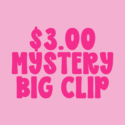 $3.00 MYSTERY BIG CLIPS