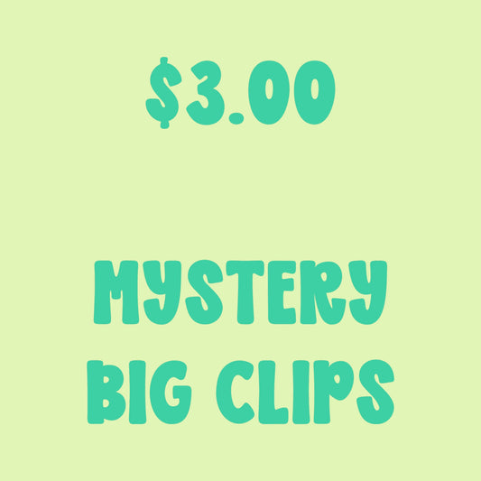 $3.00 MYSTERY BIG CLIPS - FRIYAY