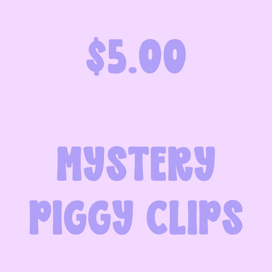 $5.00 MYSTERY PIGGY CLIPS - FRIYAY